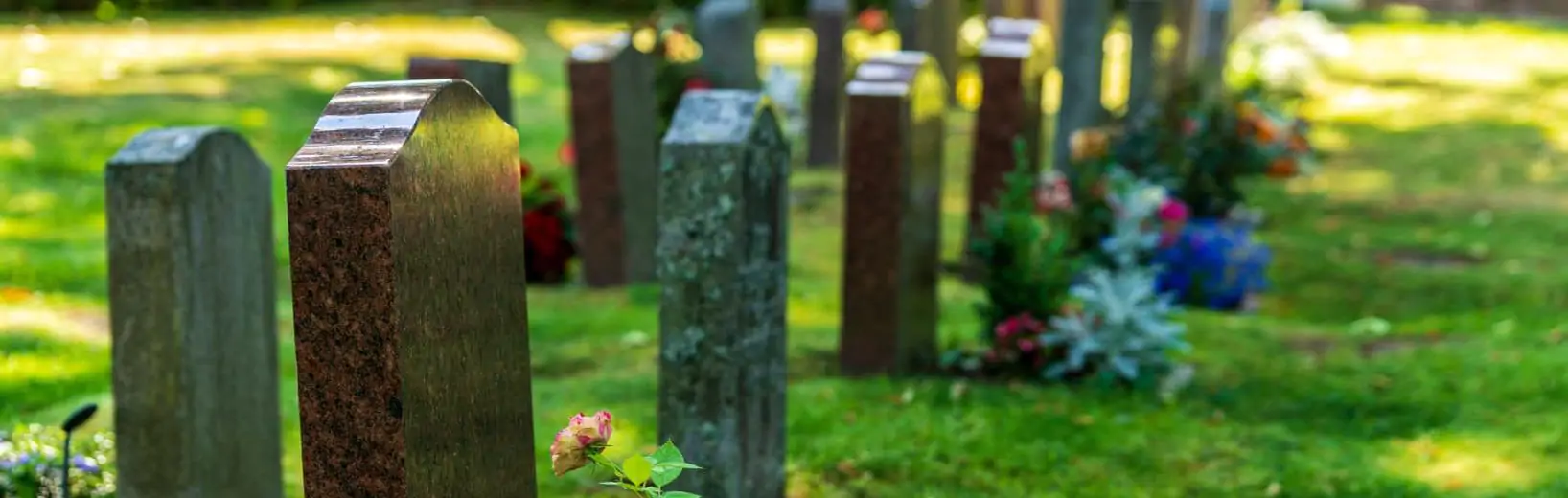 Angehörige benachrichtigen Seuchengefahr