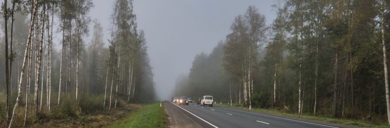 Das alte Problem immer wieder neu: der Grünstreifen zwischen Grundstück und Straße Grünstreifen