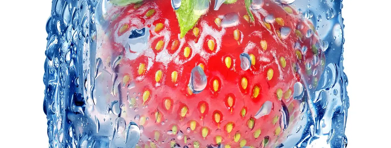 Lückenlose Kühlkette sichert Qualität! Tiefkühlware