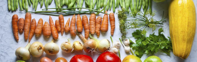 Ordentlich in Reihen sortierte Gemüse: Gurken, Karotten, Tomaten , Kartoffeln, Mais, Rote Beeten