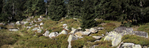 Erholungsort-Brocken