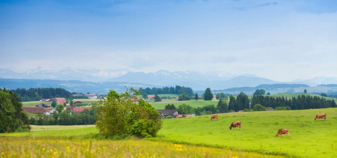 Landwirtschaft