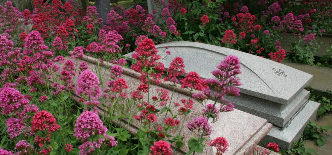 Gräber mit Blumen