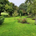Städtische Baumbilanz positiv anstoßen Bestattung im eigenen Garten