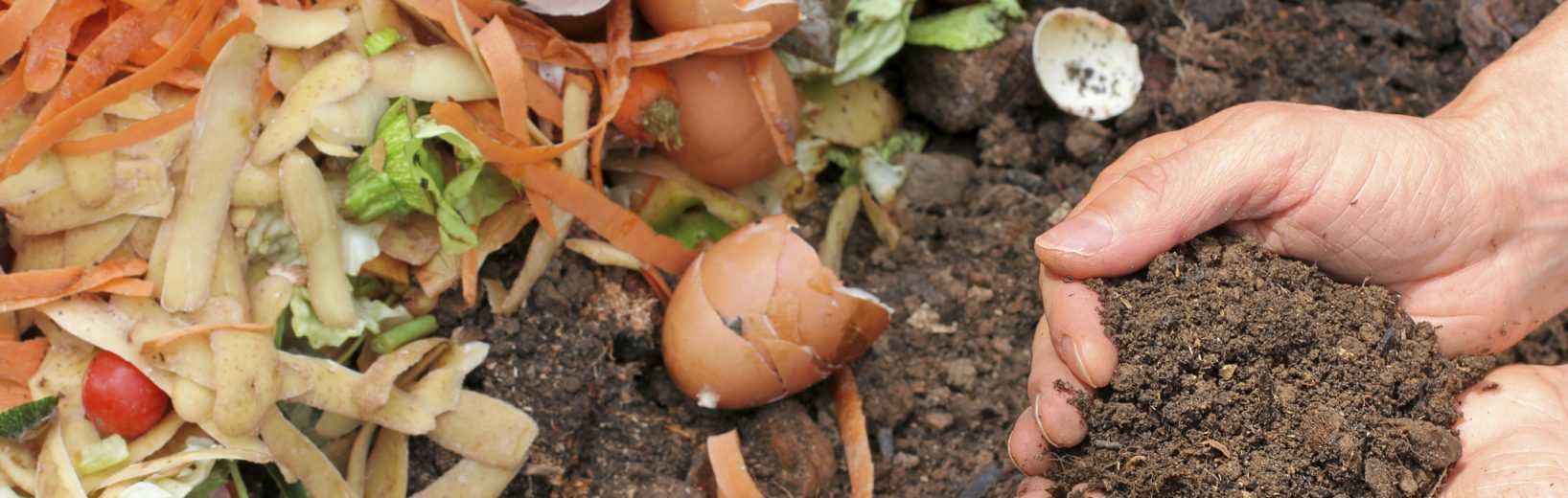 Bioabfallverordnung (BioAbfV): Das sind die geplanten Änderungen Bioabfall Erde