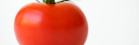 Reife Tomate