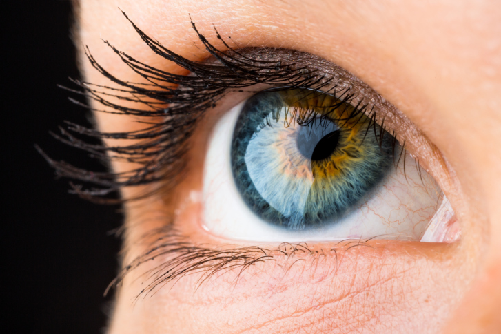 High-Tech-Instrumente im deutschen Wahlkampf: Eye-Tracking (Blickverlaufsmessung) Frauenauge