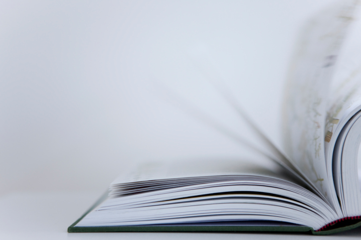 „Wahlen gewinnen“ – eine kurze Buchbesprechung Buchblätter