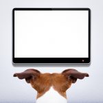 Gefahrgutdeklaration wird dank Software sicherer Bildschirm