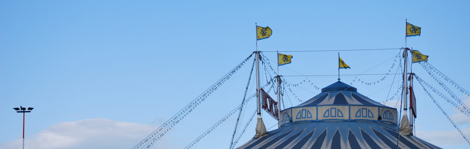 Bundesrat beschließt Verbot von Wildtieren in Zirkussen Wildtiere in Zirkussen