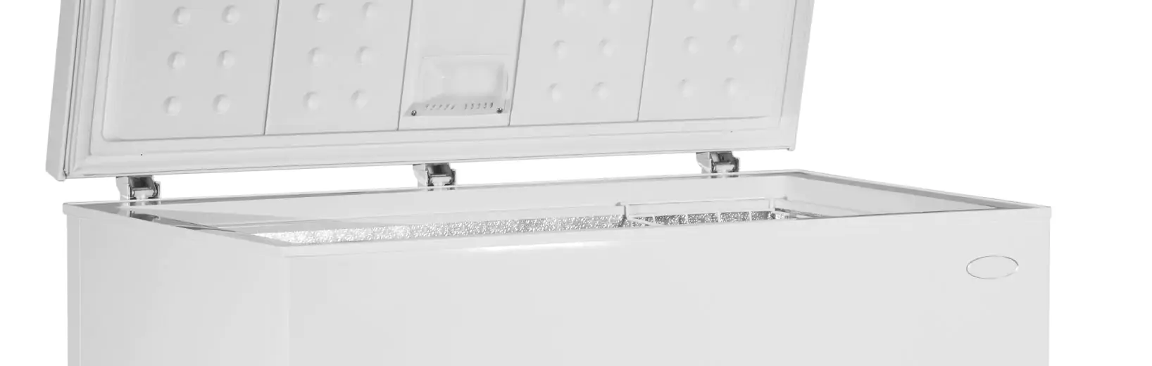 Einfrieren lassen statt Friedhof Gefriertruhe