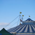 Zirkus Wildtierverbot