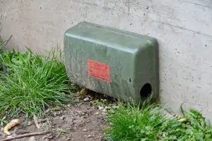 Futterkasten, der auf Ratten schließen lässt