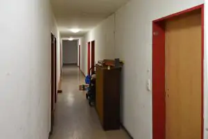 Hausflur, in dem Schädlinge unterwegs sind