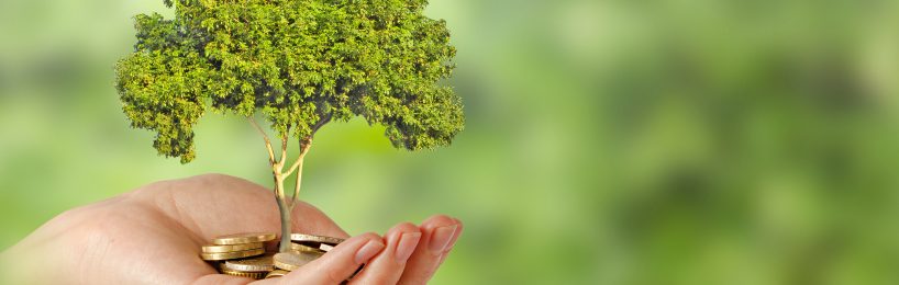 Neue Förderprogramme Energieeffizienz 2016/2017 Foerderprogramm