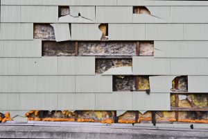 Von Nagern zerstörte Hausfassade