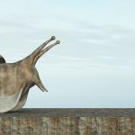 Frauen an die Macht, ein "Ritt auf der Schnecke"! Schnecke