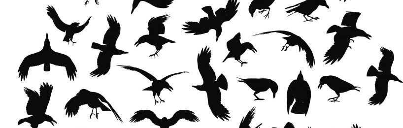 „Die Vögel“ auf dem Friedhof Krähen und Raben