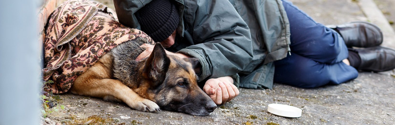Obdachlose, Unterbringung