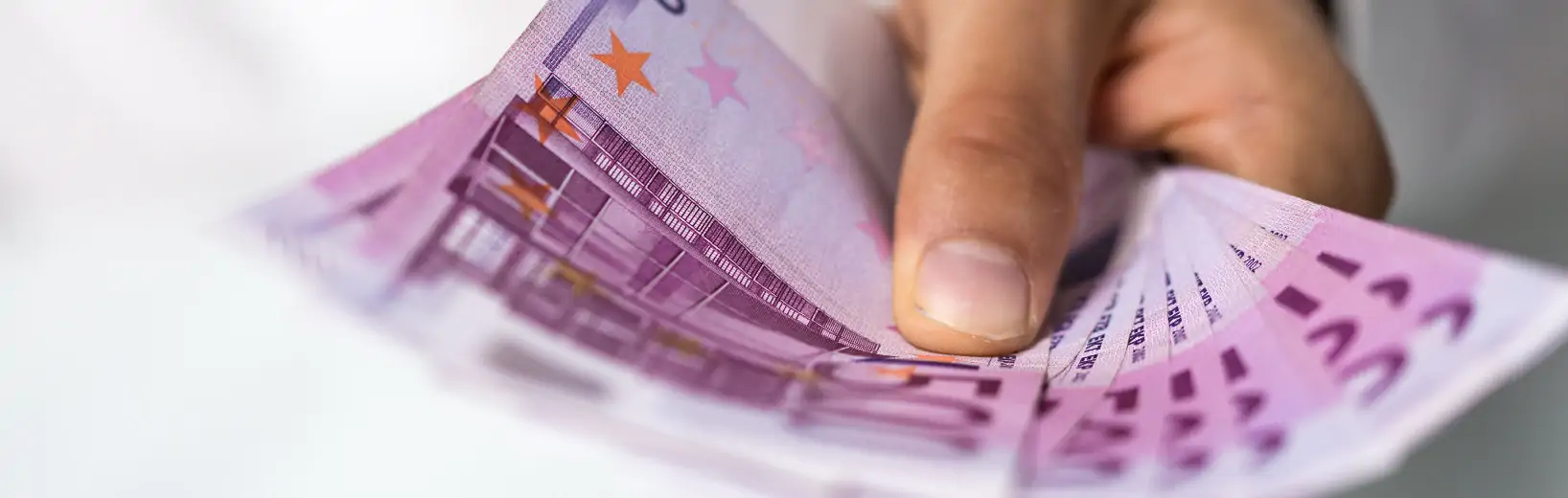 Zahlungspflicht und -verzug in der Beschaffung
