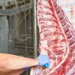 EU-Entsenderichtline