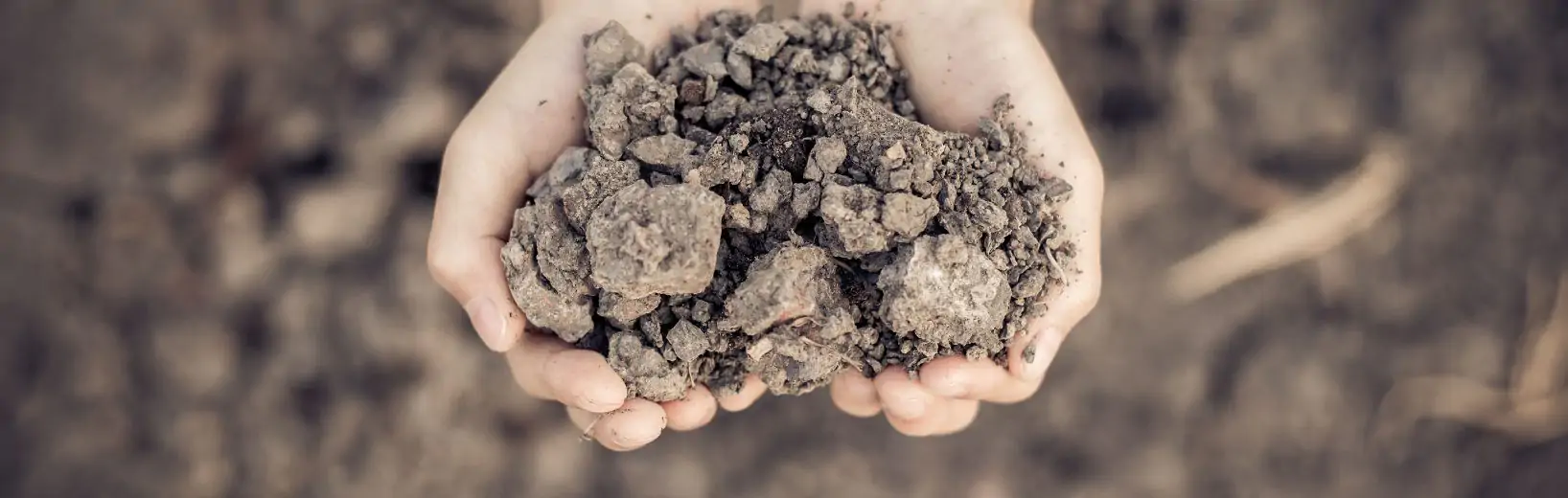 Boden – Definition Hand voll Erde