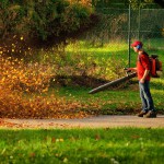 Friedhof: Kann der Einsatz von lauten Laubbläsern untersagt werden? Friedhof Laubbläser Lärm