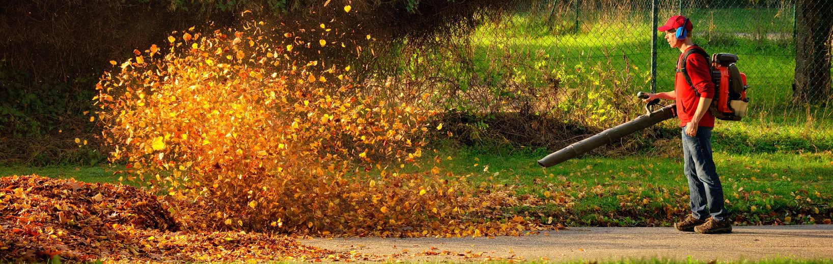 Friedhof: Kann der Einsatz von lauten Laubbläsern untersagt werden? Friedhof Laubbläser Lärm