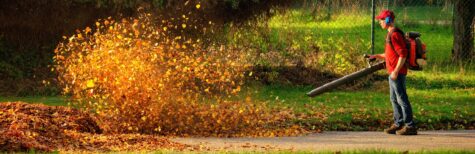 Friedhof: Kann der Einsatz von lauten Laubbläsern untersagt werden?