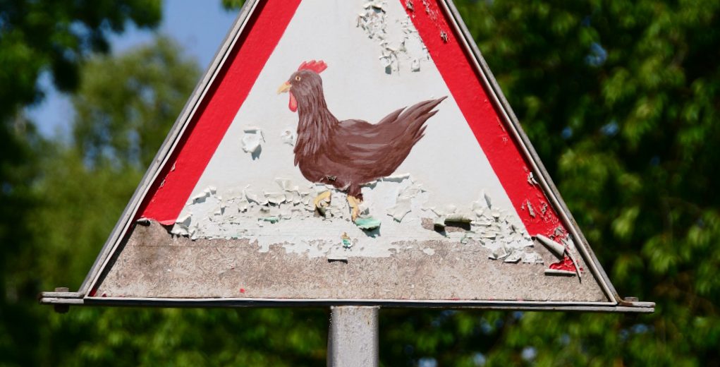 selbst entworfenes Verkehrszeichen