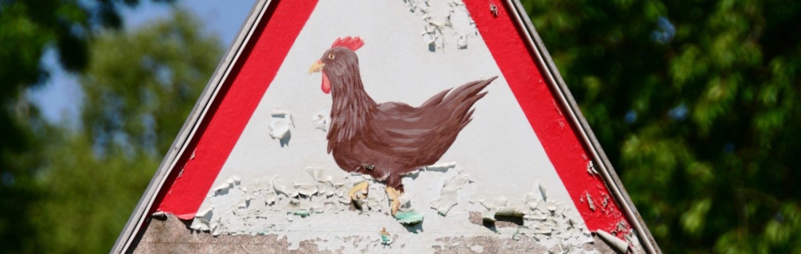 Das besondere Bild: selbst entworfenes Verkehrszeichen selbst entworfenes Verkehrszeichen