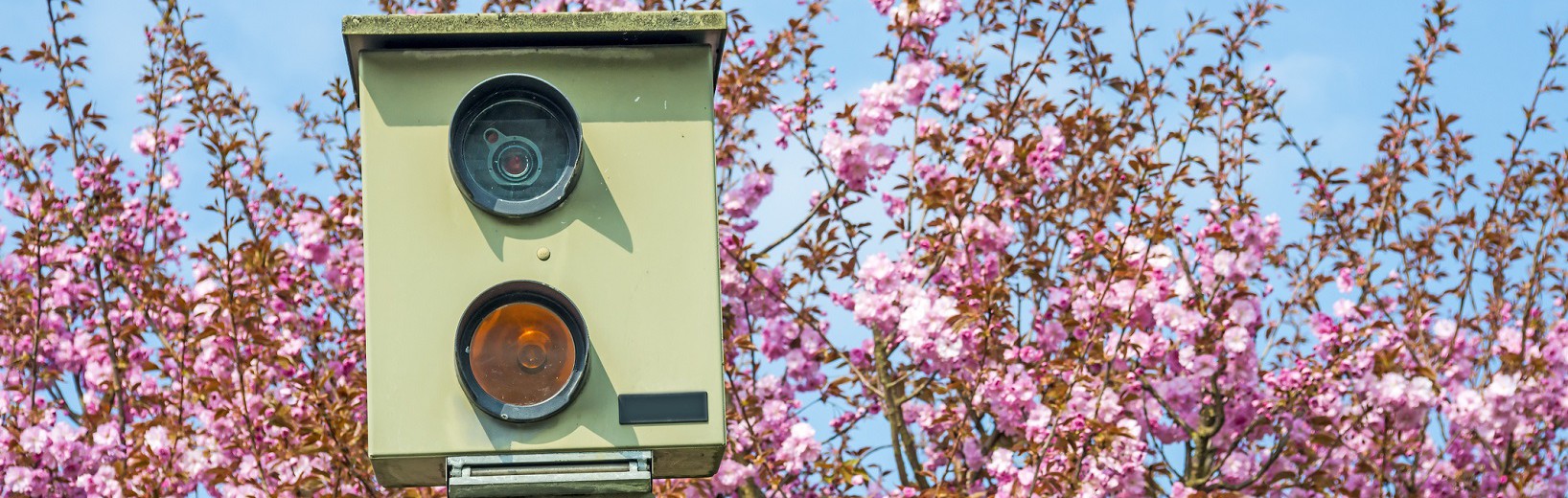 Sind 1.840 Bußgeldbescheide wegen falscher Beweisfotos ungültig? Bußgeldbescheid falsche Beweisfotos