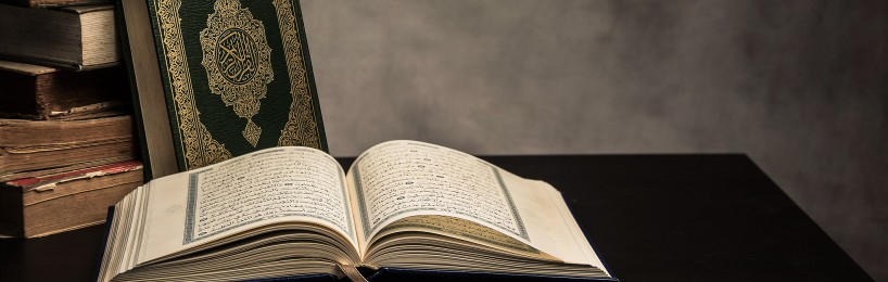 Niedersachsen: Sondernutzungen und verfassungsfeindliche Aktivitäten Straßengesetz Sondernutzung verfassungsfeindlich salafistische Propaganda