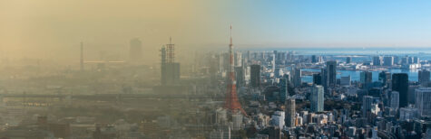 43. Verordnung zum Bundes-Immissionsschutzgesetz (43. BImSchV): die Grenzwerte