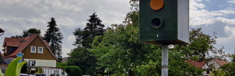 Ist das Aufstellen einer Blitzer-Attrappe Amtsanmaßung?