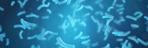 42. BImSchV Gefaehrdungsbeurteilung