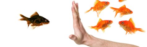 Ausschluss aus Betriebsrat: Wenn nötig kein Ding der Unmöglichkeit