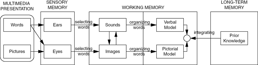 Cognitive theory of multimedia learning