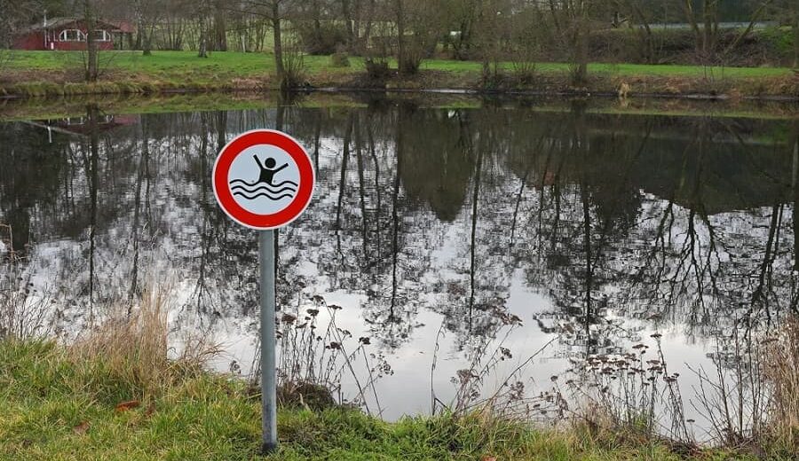 Dorfteiche einzäunen