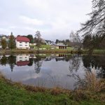 Dorfteiche einzäunen
