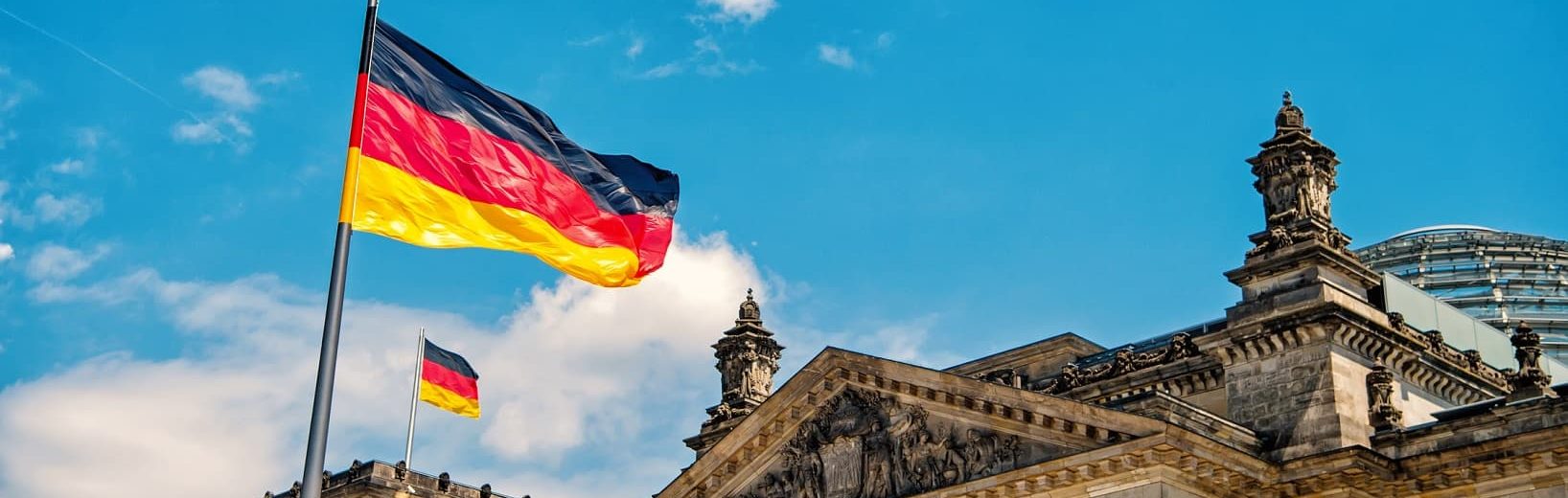 Reichsbürgervereinigung