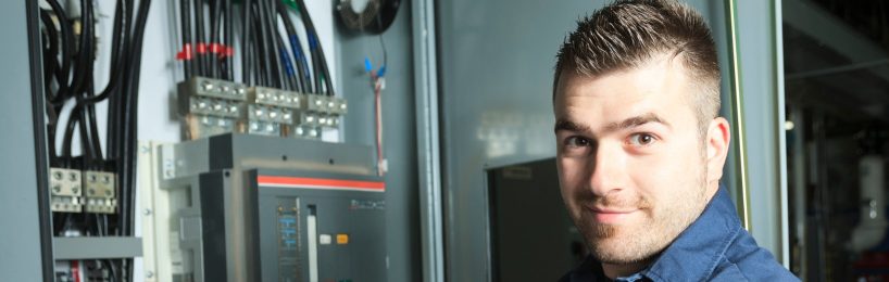 Verantwortliche Elektrofachkraft als Lohn- oder Gehaltsempfänger Welche Rolle hat die VEFK im Unternehmen?