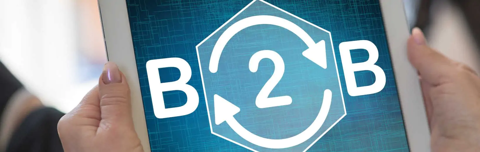 B2B-Plattform