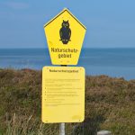 Bootssteg Gastronomie