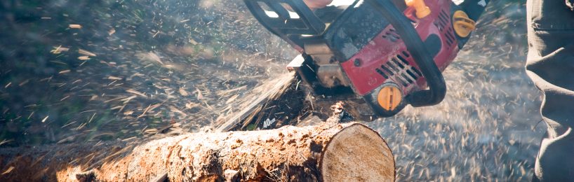Arbeiter zersägt einen Baumstamm - dabei ist er vielen Gefaehrdungen ausgesetzt, für die Sie gemäß Betriebssicherheitsverordnung eine Gefährdungsbeurteilung erstellen müssen