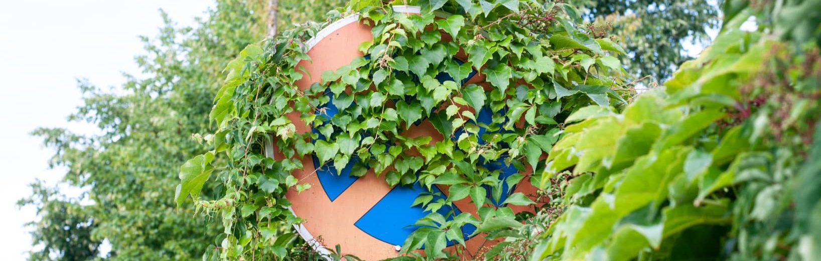 Pflanzen verdecken Verkehrszeichen