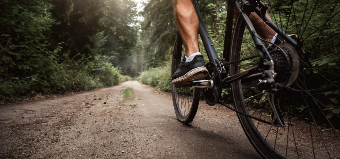 Mountainbike Wald