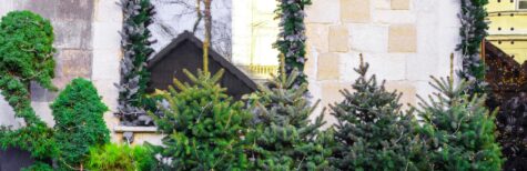 Blumenkübel in verkehrsberuhigten Bereichen