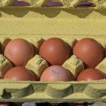 wiederverwendbare Eierkartons