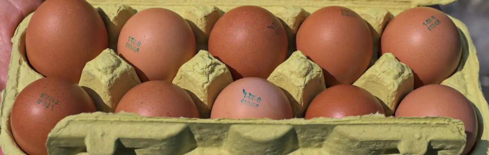 wiederverwendbare Eierkartons